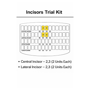 Kids e ZIRCONIA ANTERIOR CROWNS CENTRAL AND LATERAL INCISOR KIT 2 Kids e ZIRCONIA ANTERIOR CROWNS CENTRAL AND LATERAL INCISOR KIT - Image 2