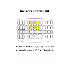 Kids e ZIRCONIA ANTERIOR CROWNS CENTRAL AND LATERAL INCISOR KIT 3 Kids e ZIRCONIA ANTERIOR CROWNS CENTRAL AND LATERAL INCISOR KIT - Image 3