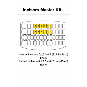 Kids e ZIRCONIA ANTERIOR CROWNS CENTRAL AND LATERAL INCISOR KIT 4 Kids e ZIRCONIA ANTERIOR CROWNS CENTRAL AND LATERAL INCISOR KIT - Image 4