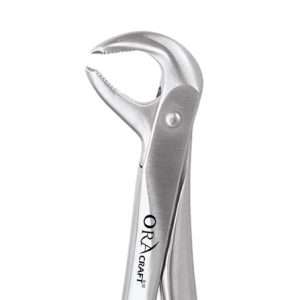 LOWER 3RD MOLAR STANDARD