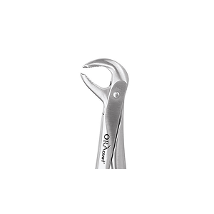 Oracraft Lower 3rd Molar Standard