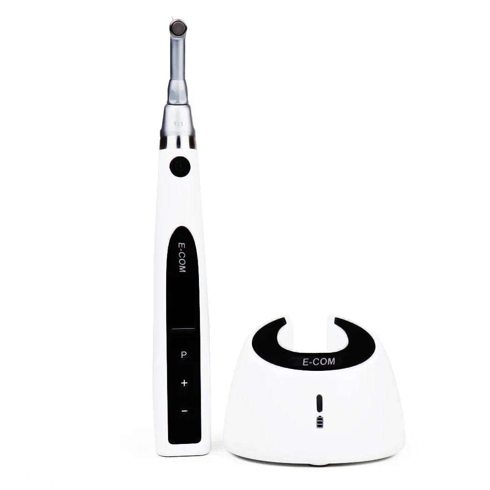 Woodpecker e-com plus cordless endomotor in India dentosky